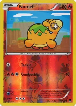 Numel #12