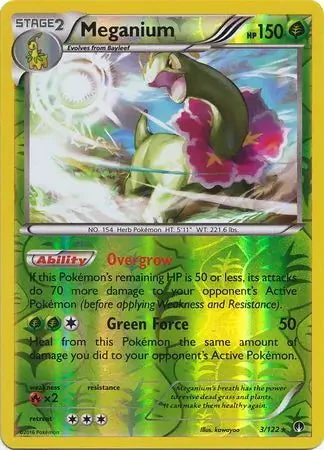 Meganium #3