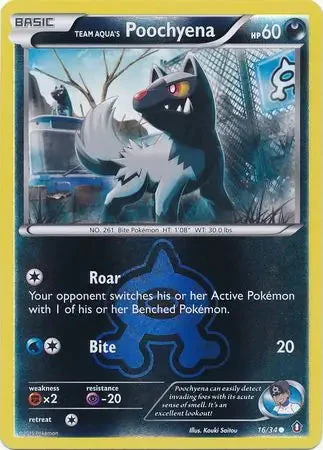 Team Aqua's Poochyena #16