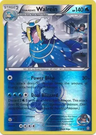 Team Aqua's Walrein #5