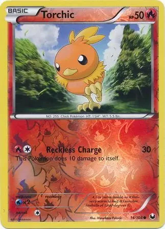 Torchic #14