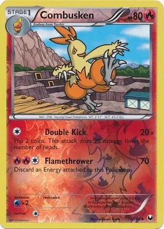 Combusken #16