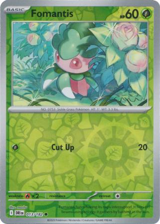 Fomantis #13