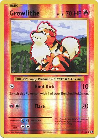 Growlithe #17
